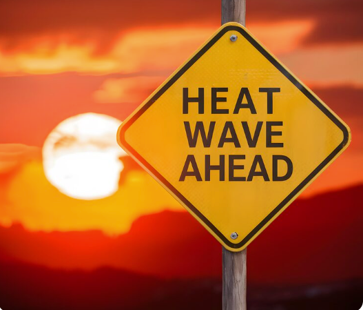 Featured image for How South Florida's Heat Affects Seniors (and How to Stay Safe)